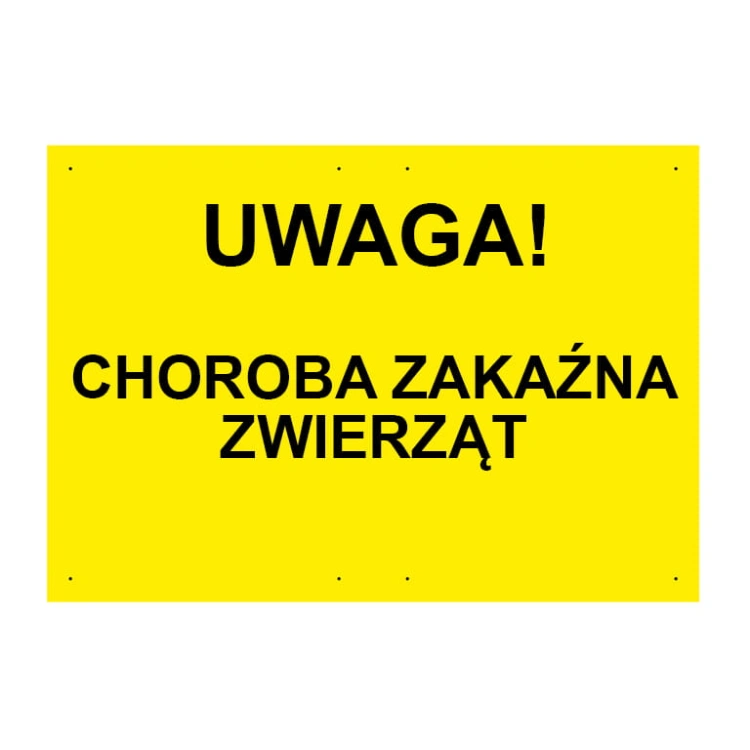 TABLICA5.jpg